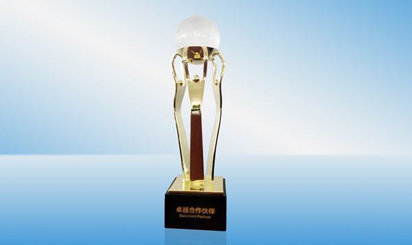 同伴奖 官网使用.jpg