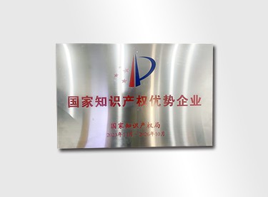 National Intellectual Property Advantage Enterprise in 2023